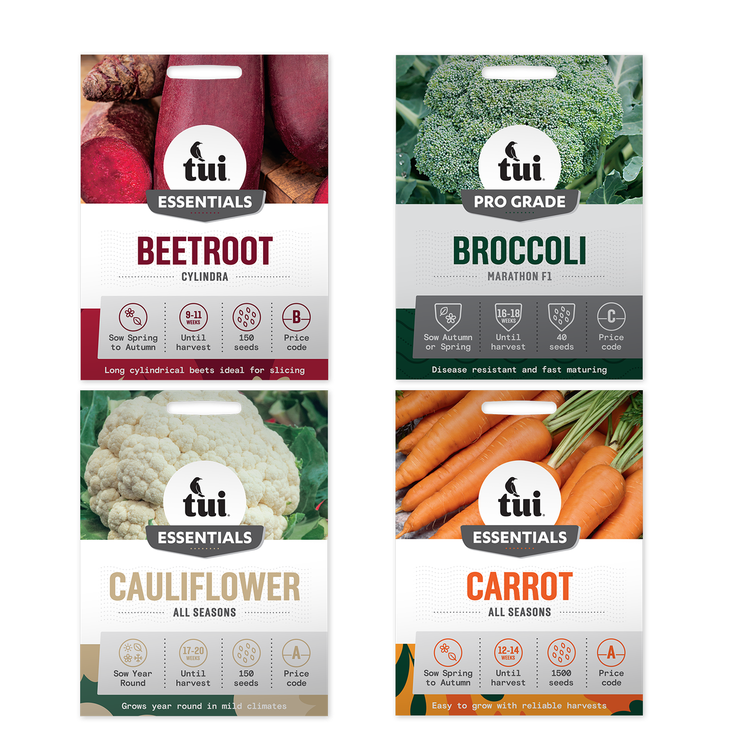 Tui Seeds Bundle - Autumn Favourites