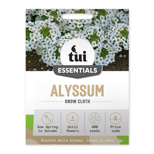 Tui Alyssum Seed - Snow Cloth