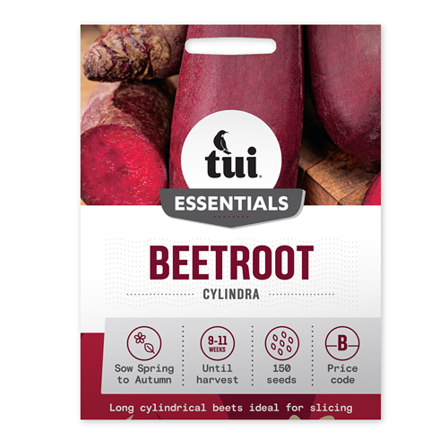 Tui Beetroot Seed - Cylindra