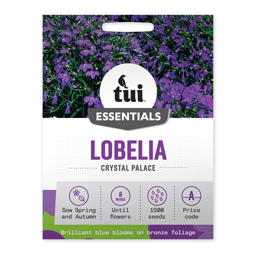 Tui Lobelia Seed - Crystal Palace