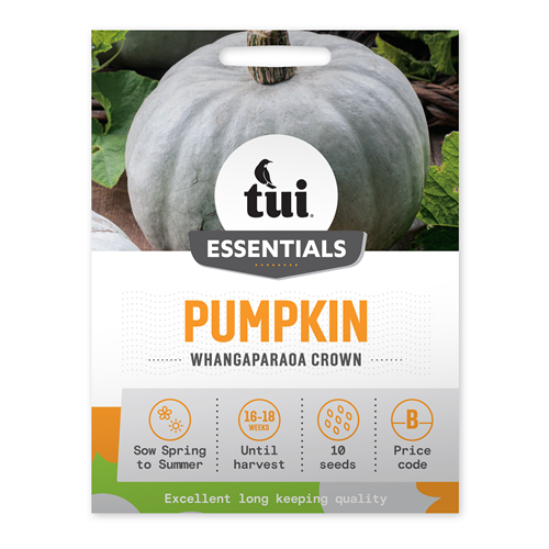 Tui Pumpkin Seed - Whangaparaoa Crown