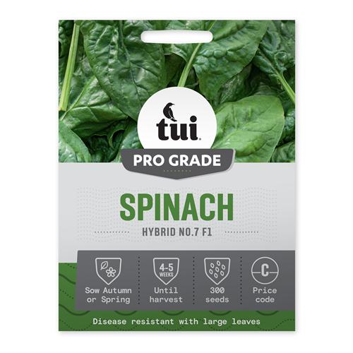 Tui Spinach Seed - Hybrid No.7 F1