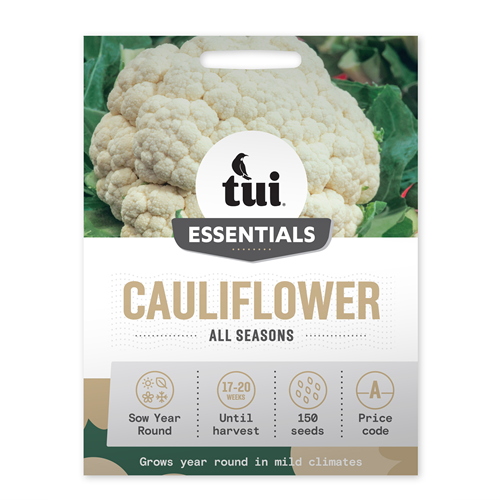 Tui Cauliflower Seed - All Seasons