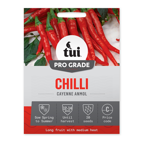 Tui Chilli Seed - Cayenne Anmol