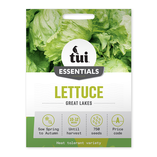 Tui Lettuce Seed - Great Lakes